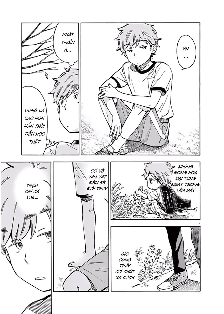 Misoshiru De Kanpai! chapter 23 - Trang 10